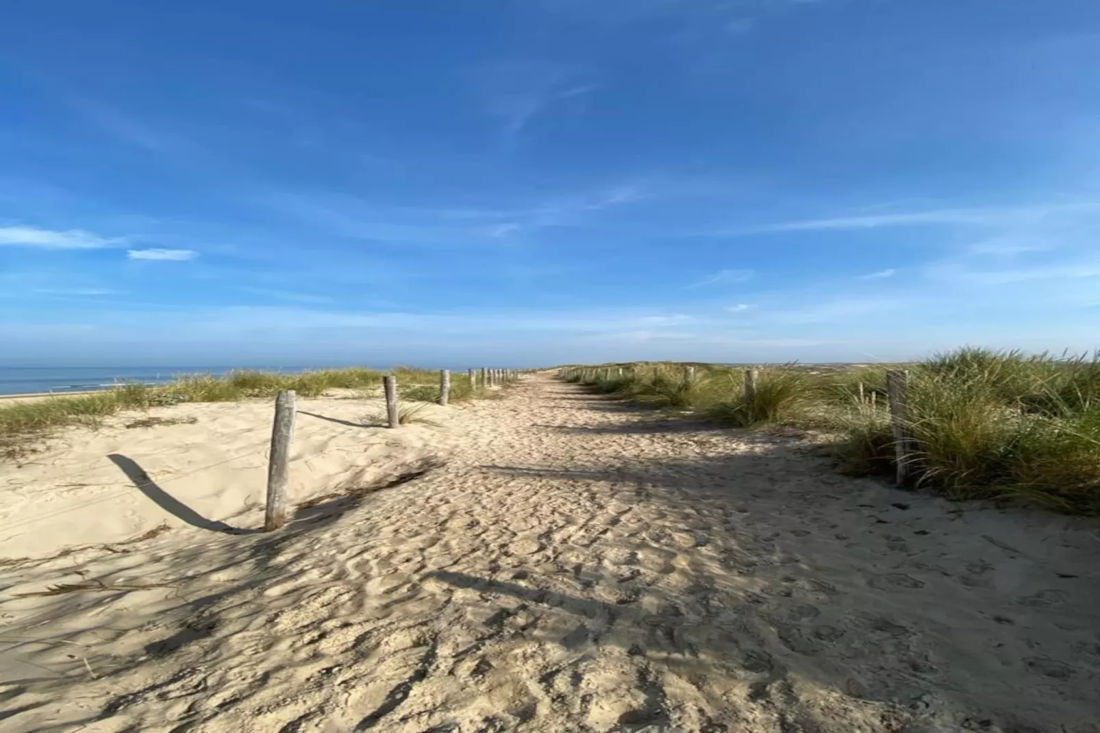 Zon in de duinen - 33 - Areas within 1km in summer