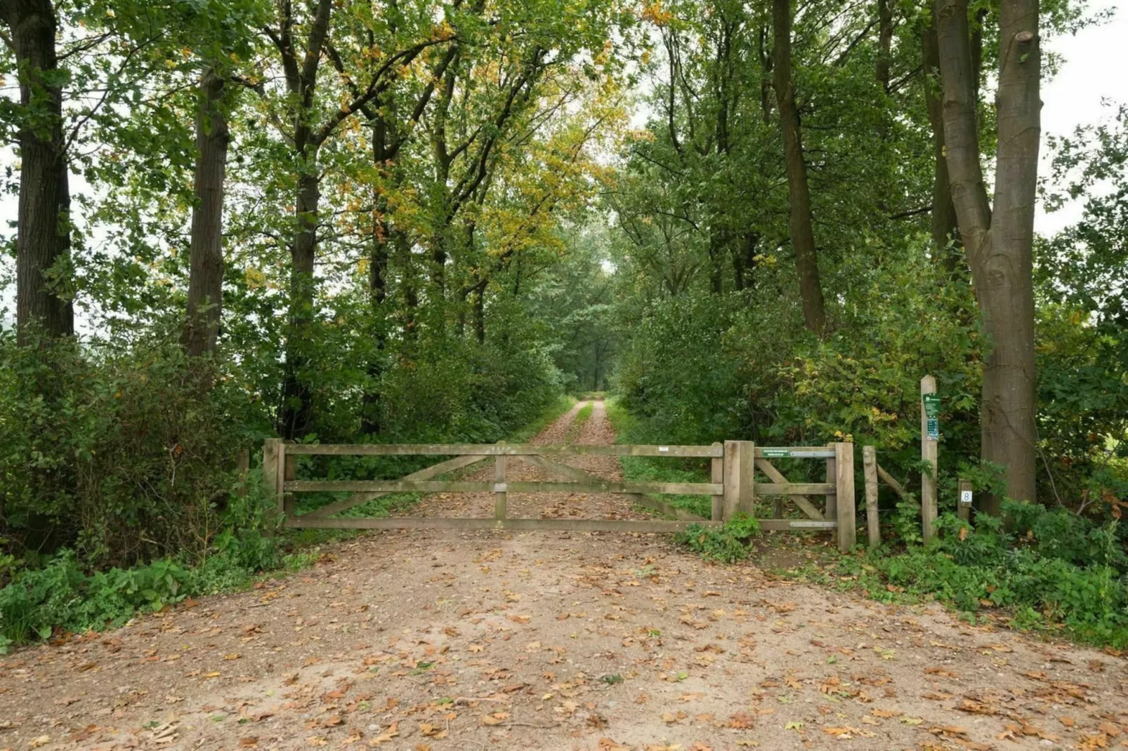 Boshoeve - Gebiete Sommer 1 km