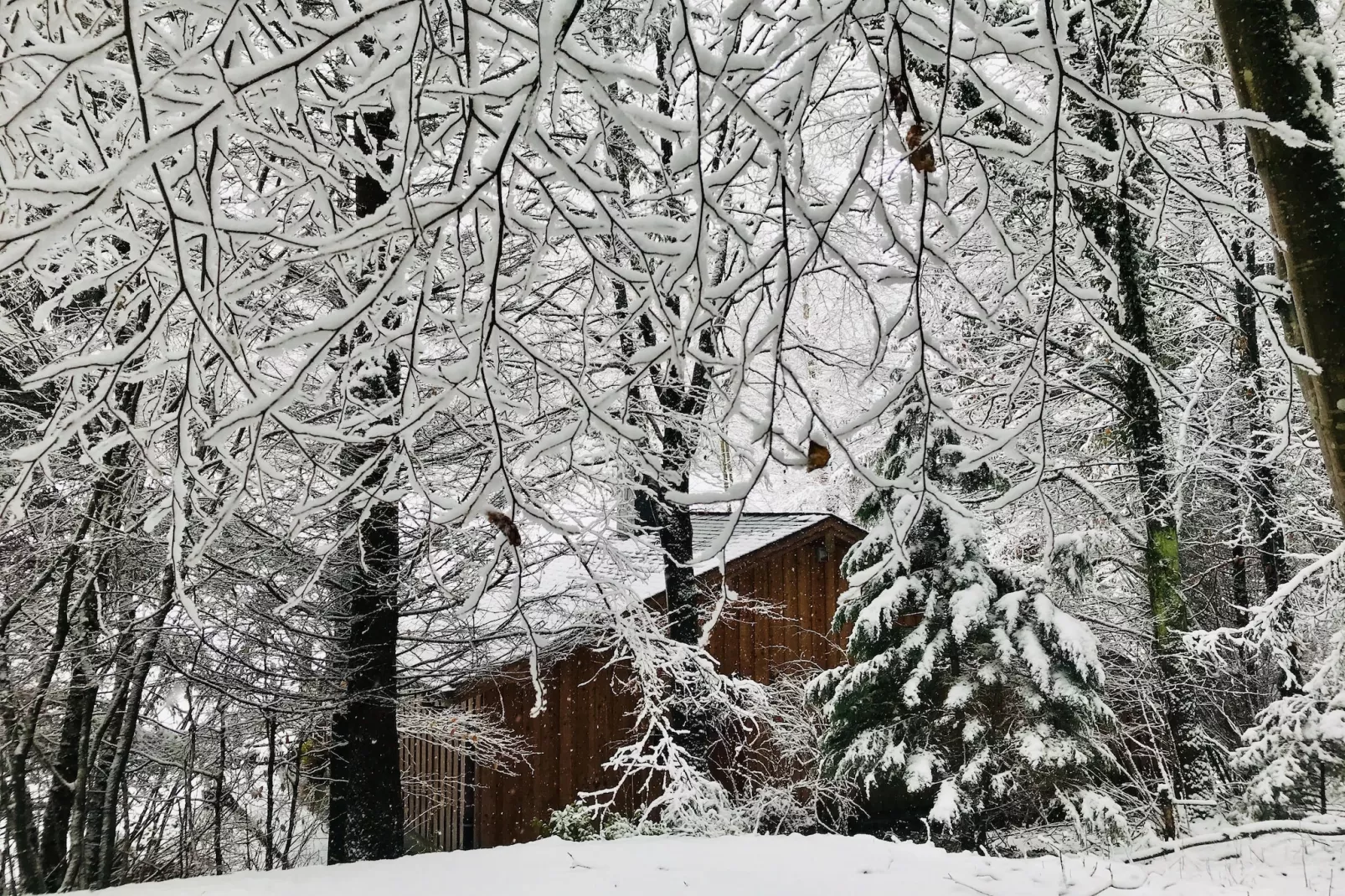 La Linotte - Area within 1km in winter