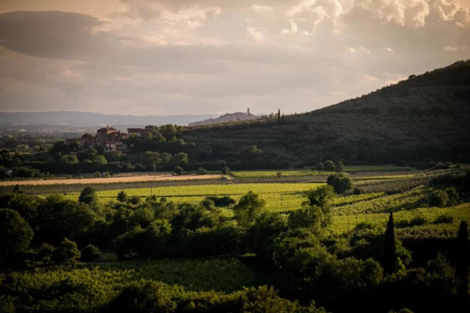 Fiordaliso - Areas within 20km in summer