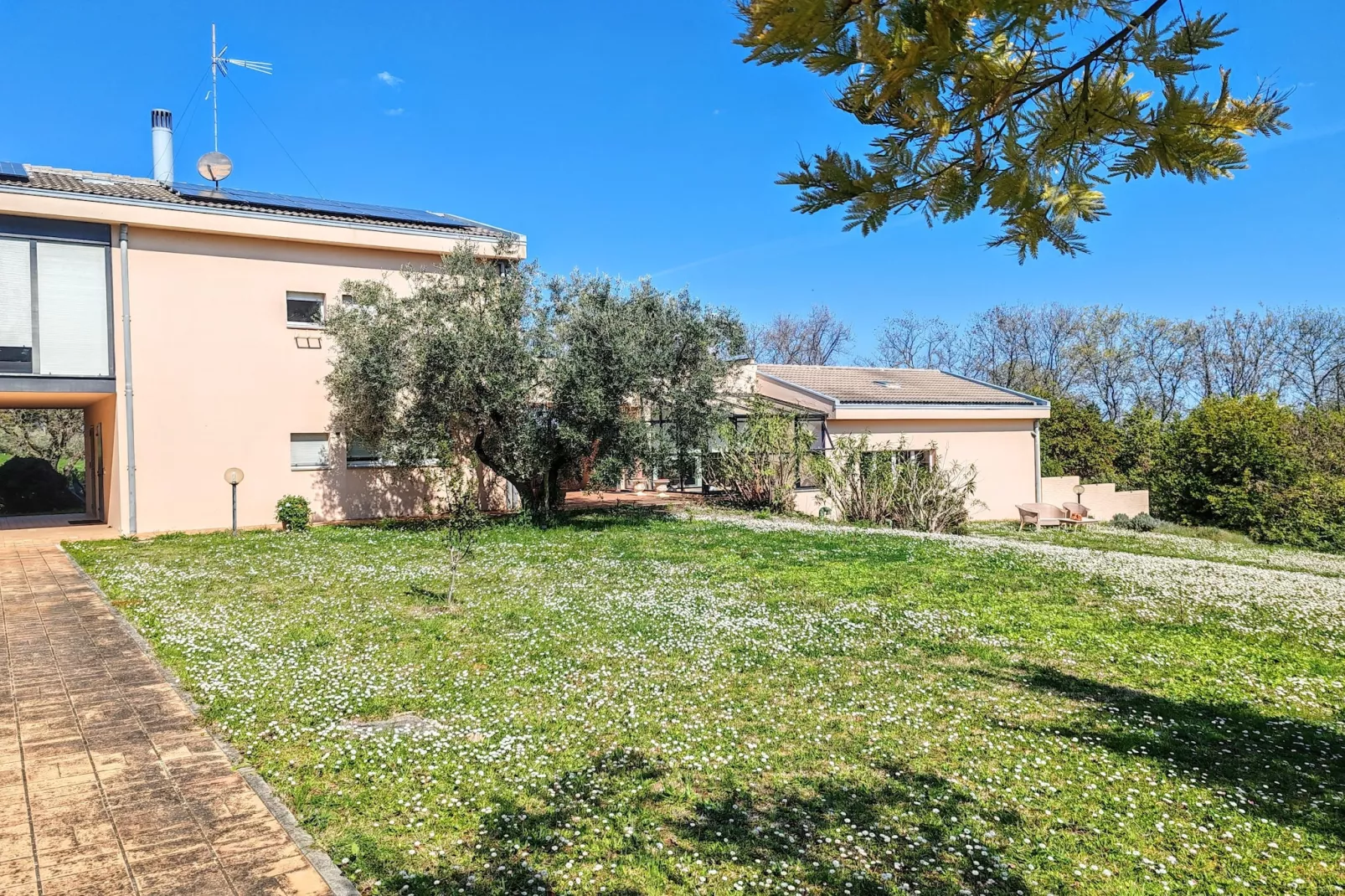 Villa tra gli Ulivi - Außenbereich Sommer