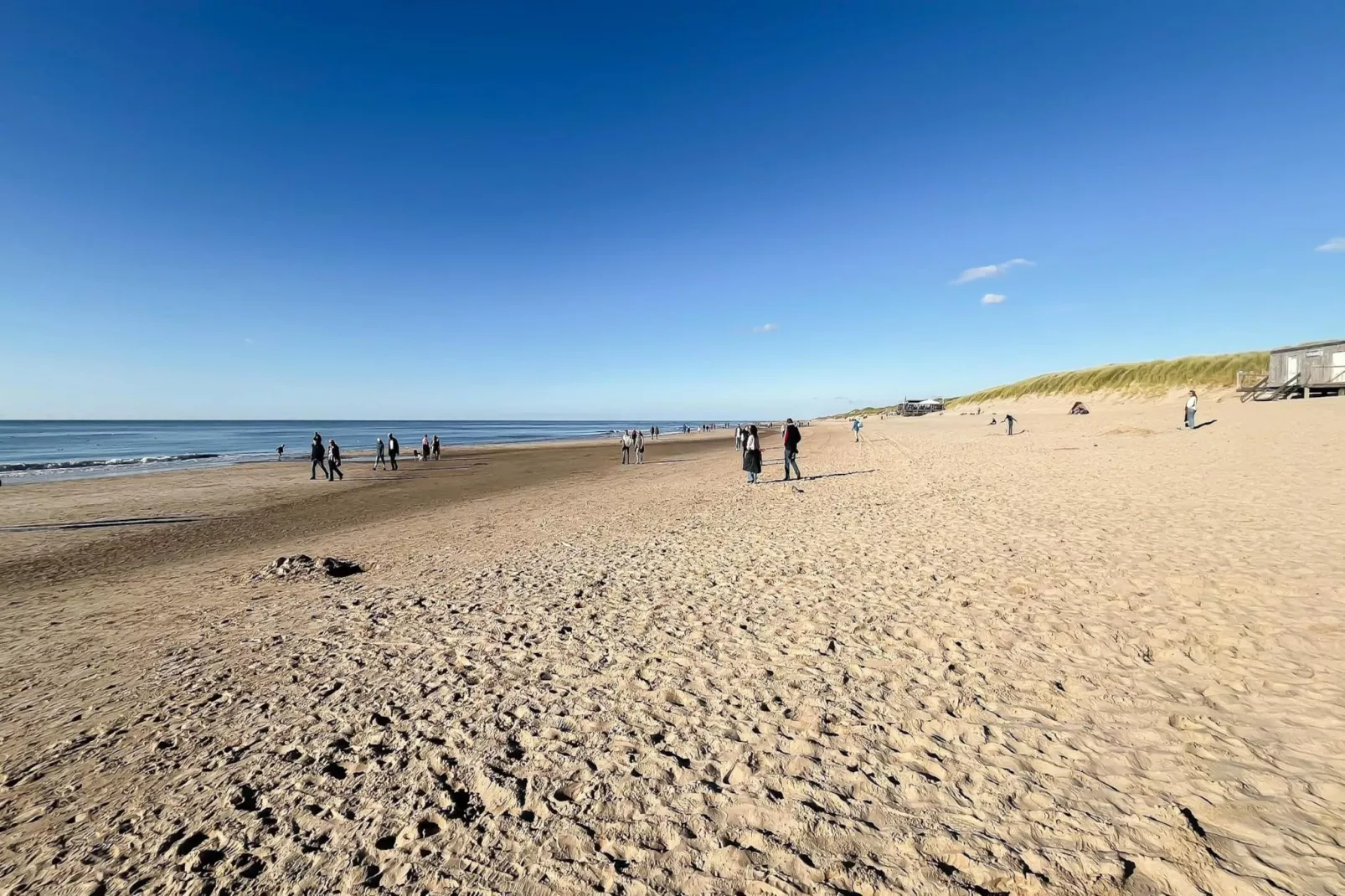 Droomlicht - Areas within 5km in summer