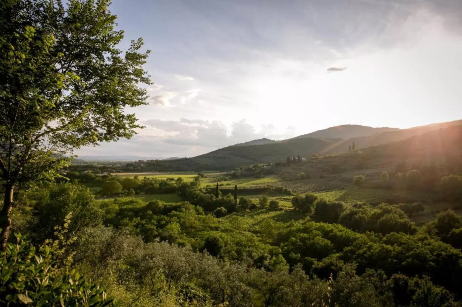 Fiordaliso - Areas within 20km in summer