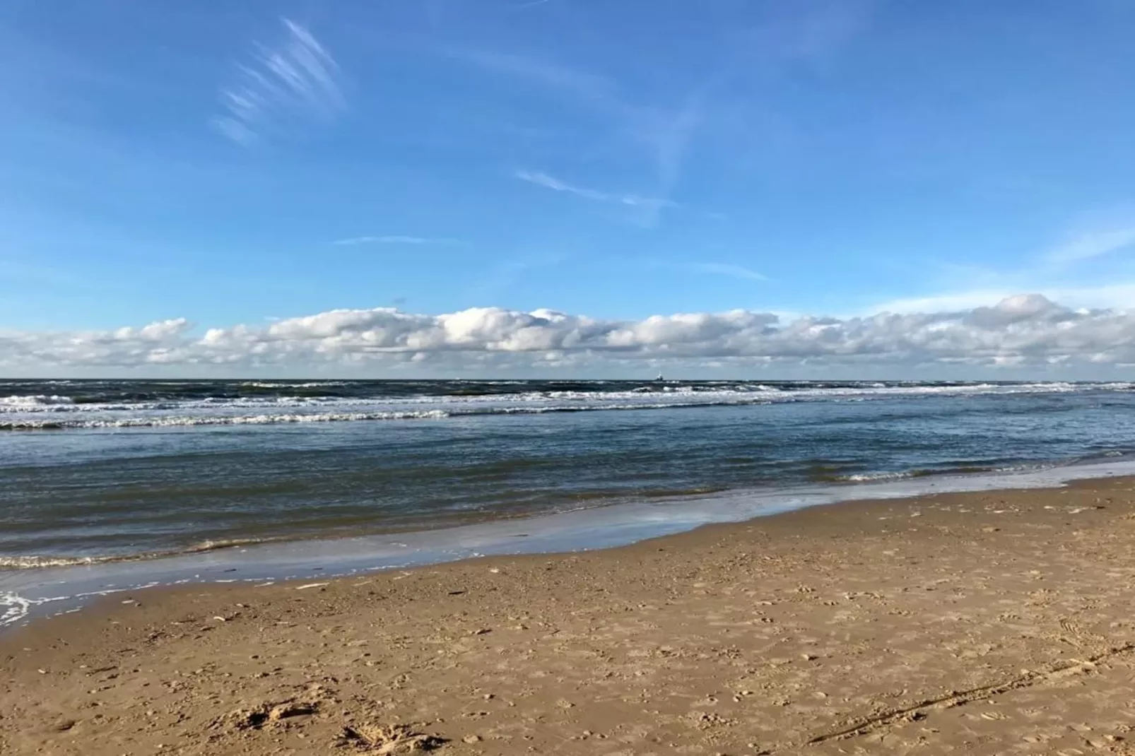 Zon in de duinen - 33 - Areas within 1km in summer