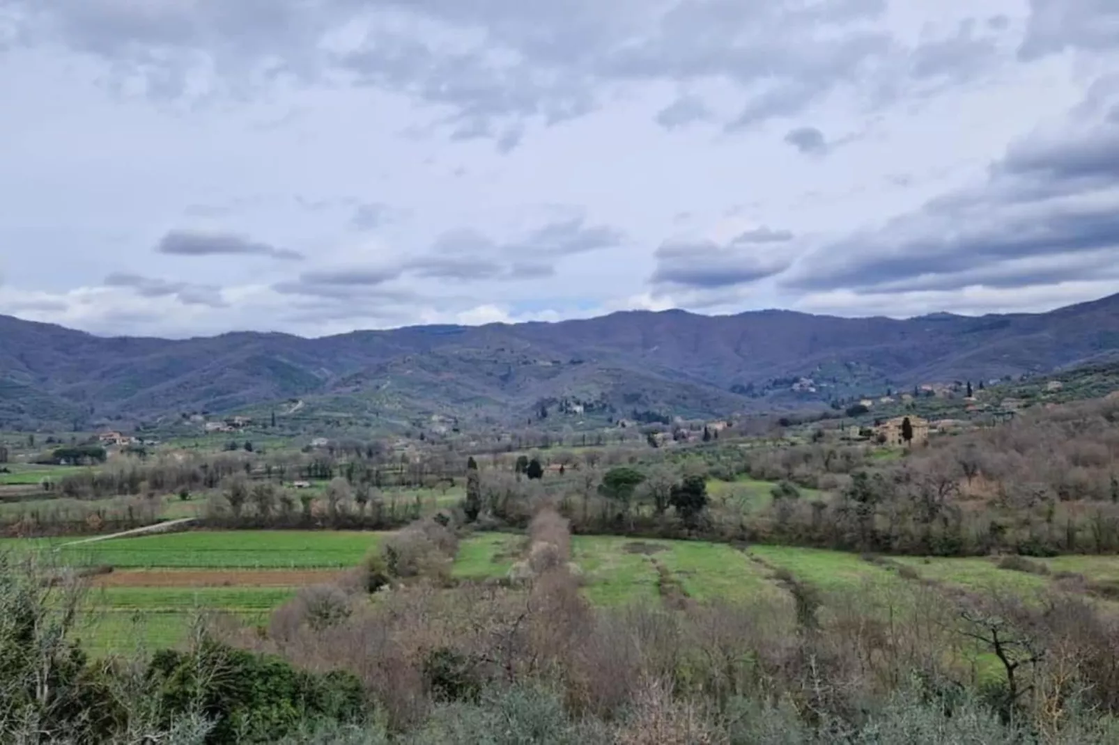 Fiordaliso - Areas within 20km in summer
