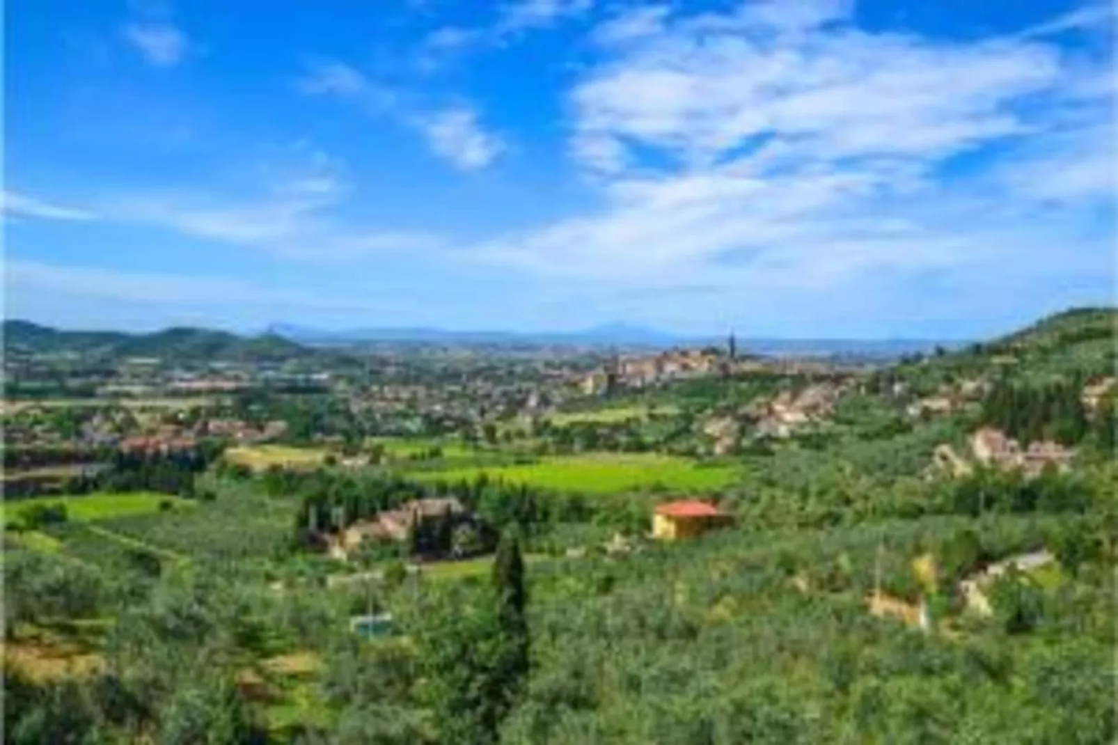 Orchidea - Areas within 20km in summer