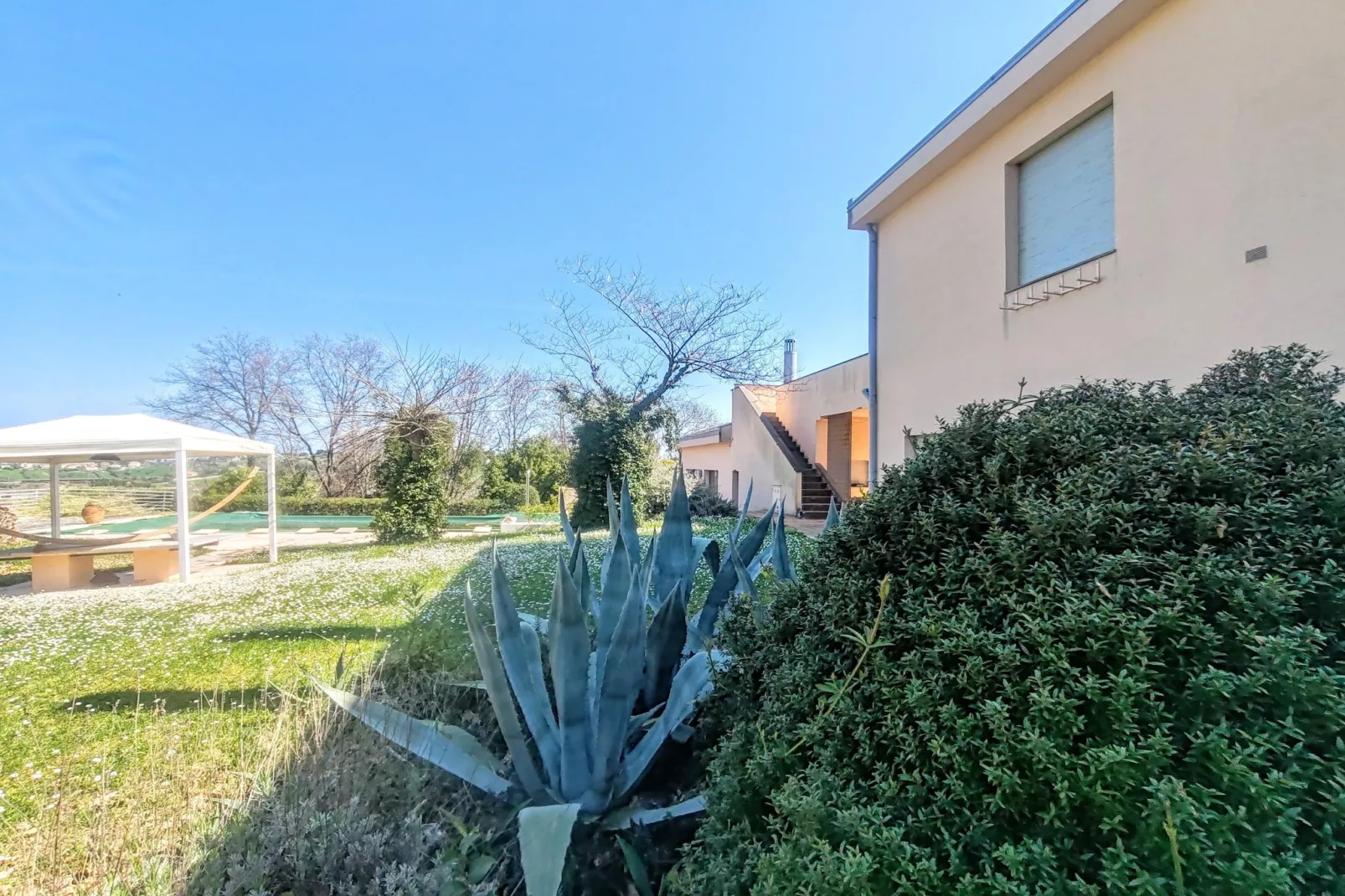 Villa tra gli Ulivi - Garten Sommer