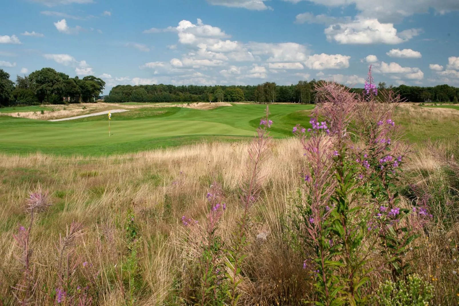 Betonnen Boshuis - Gebiete Sommer 1 km