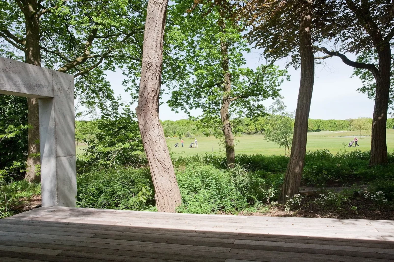 Betonnen Boshuis - Gebiete Sommer 1 km