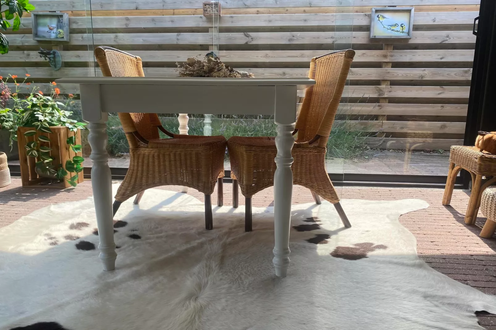 De Groninger Zeeuw - Terrasse/Balkon