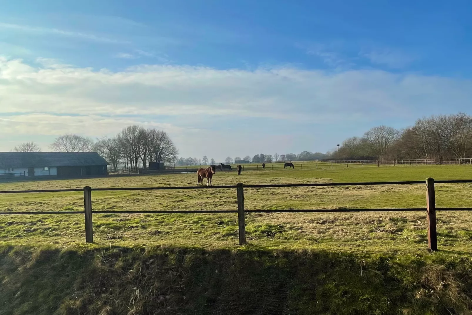 Salland Hideaway - 4 persons - Areas within 1km in summer