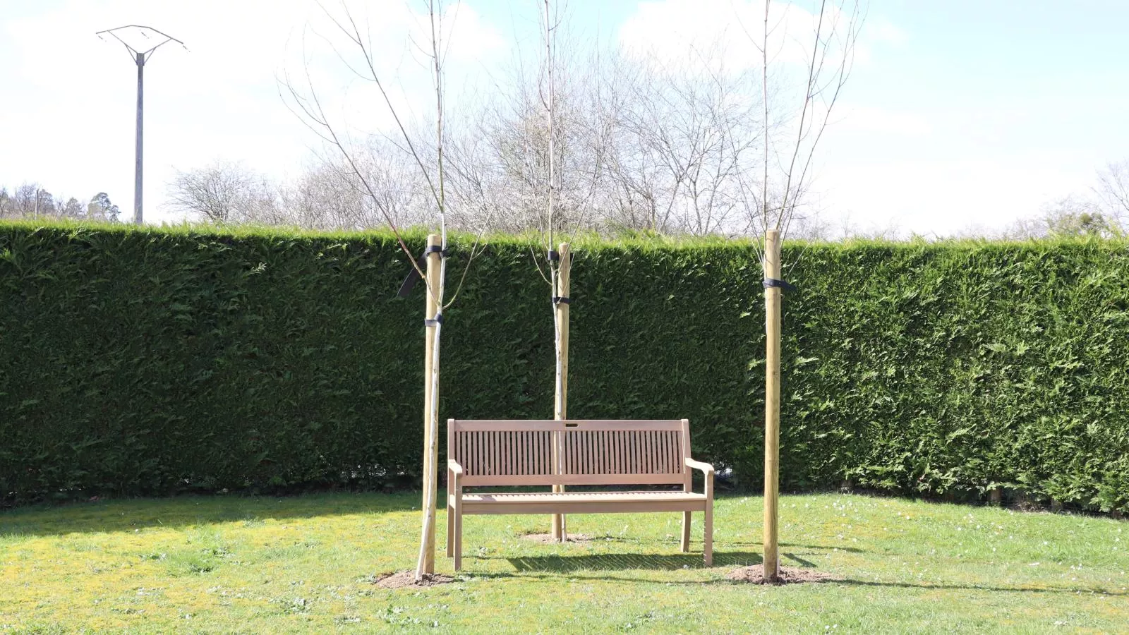 Myrabelle - Gardens in summer