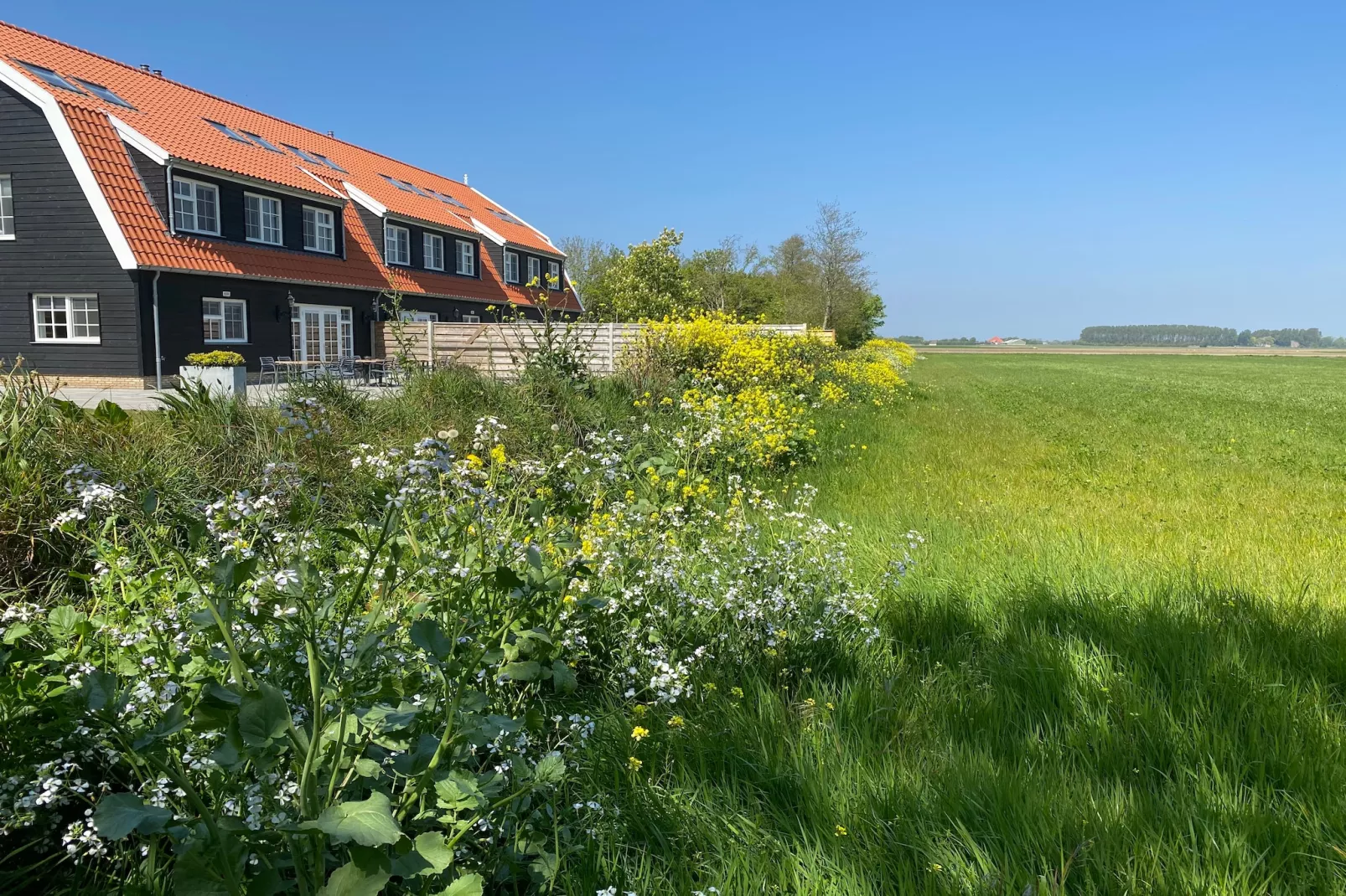 Waddenweelde Texel - Garten Sommer