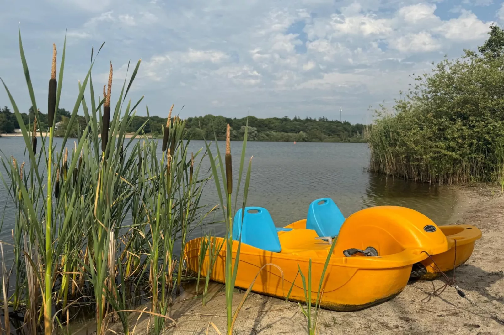 Holiday home Torenvalk - Facilities