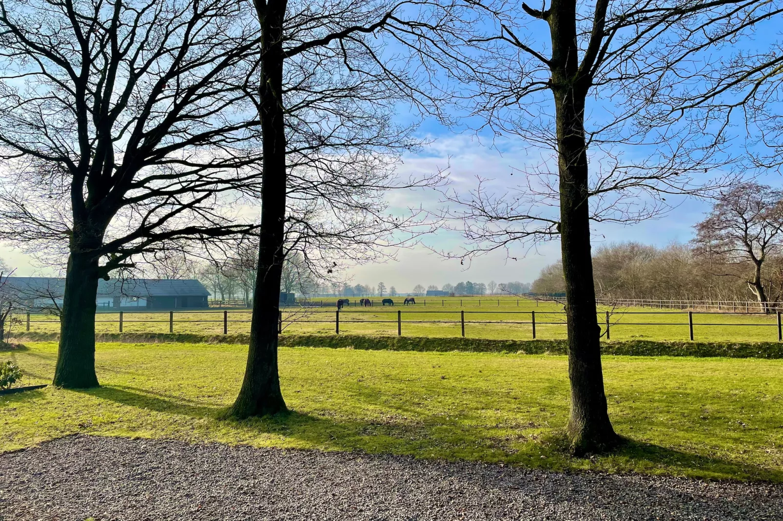 Salland Hideaway - 4 persons - Areas within 1km in summer