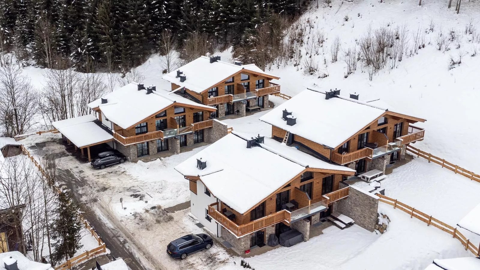 Tauernlodge Eben D1 - Exterior in winter