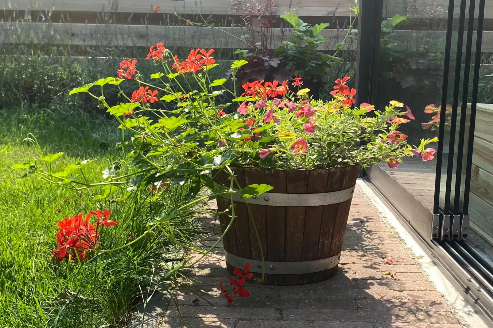 De Groninger Zeeuw - Garten Sommer