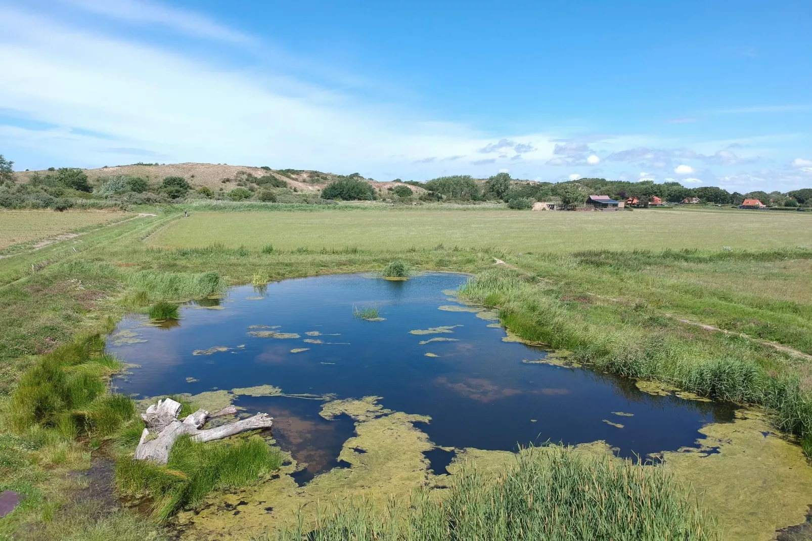 Zonnestralen - Areas within 5km in summer