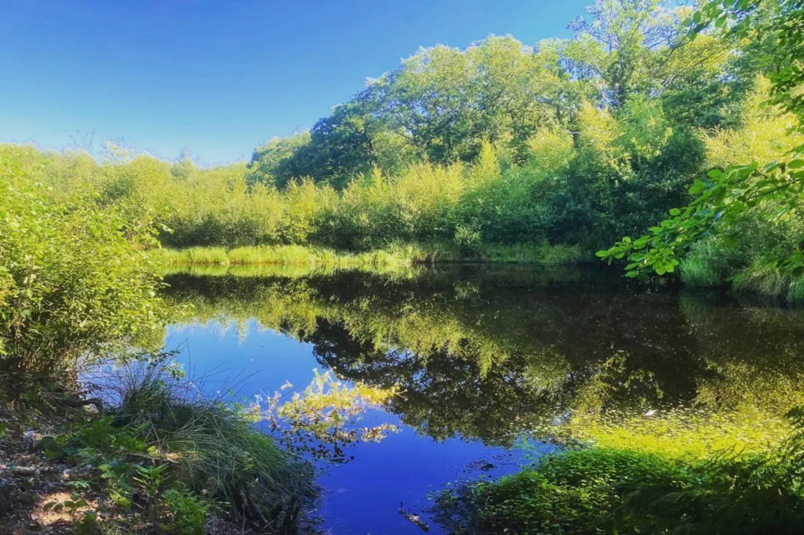 De Groninger Zeeuw - Gebiete Sommer 1 km