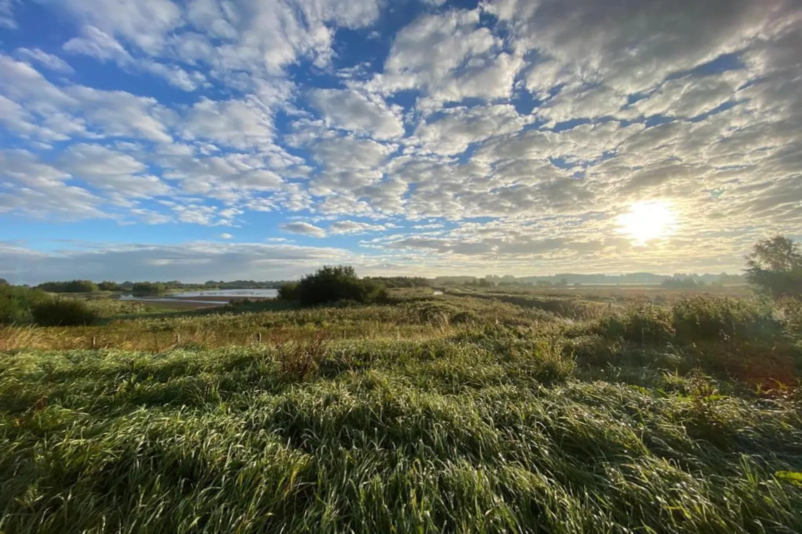 De Groninger Zeeuw - Gebiete Sommer 5 km
