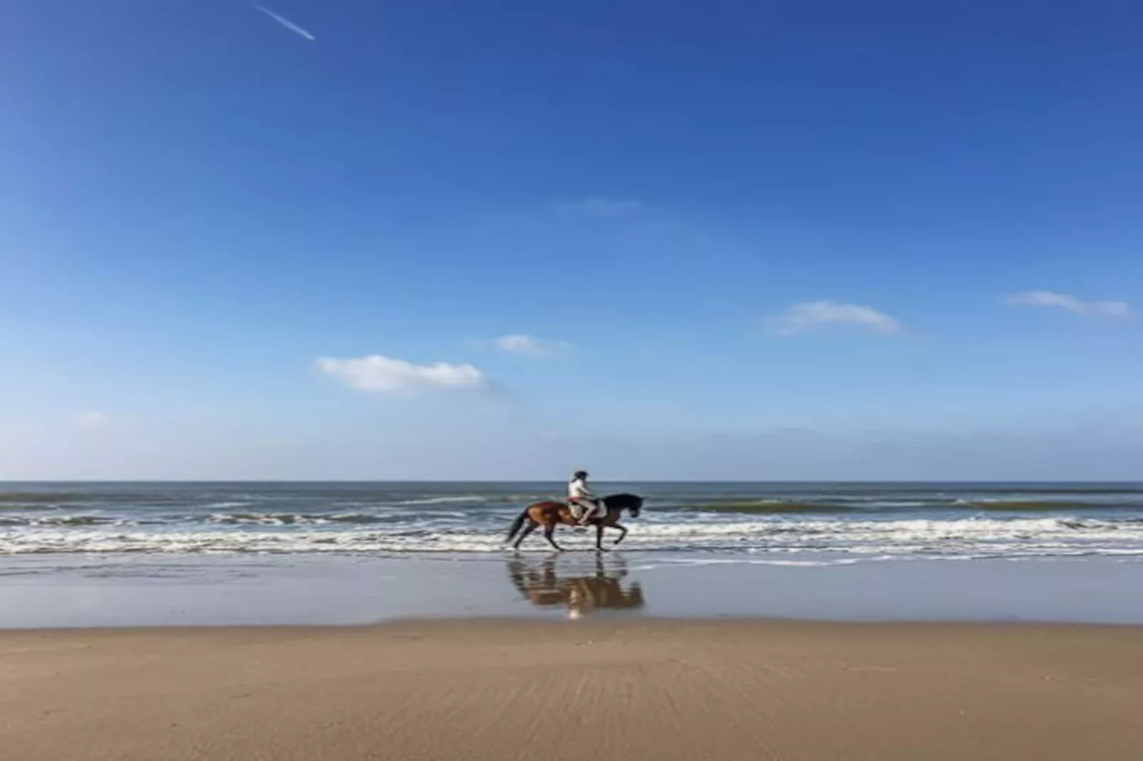 De Molen van Egmond - Untagged