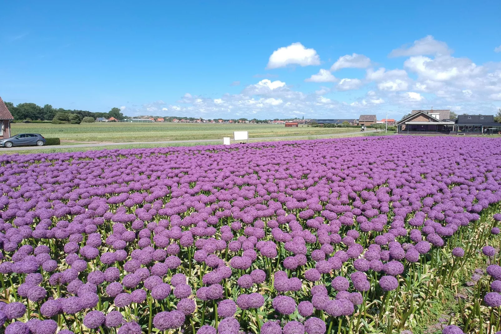 Zonnestralen - Areas within 5km in summer