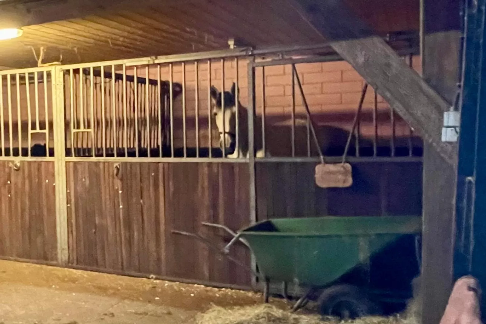 De Binnenhof - Facilities