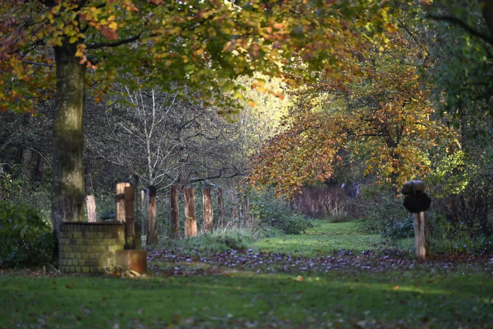 De Binnenhof - Areas within 1km in summer