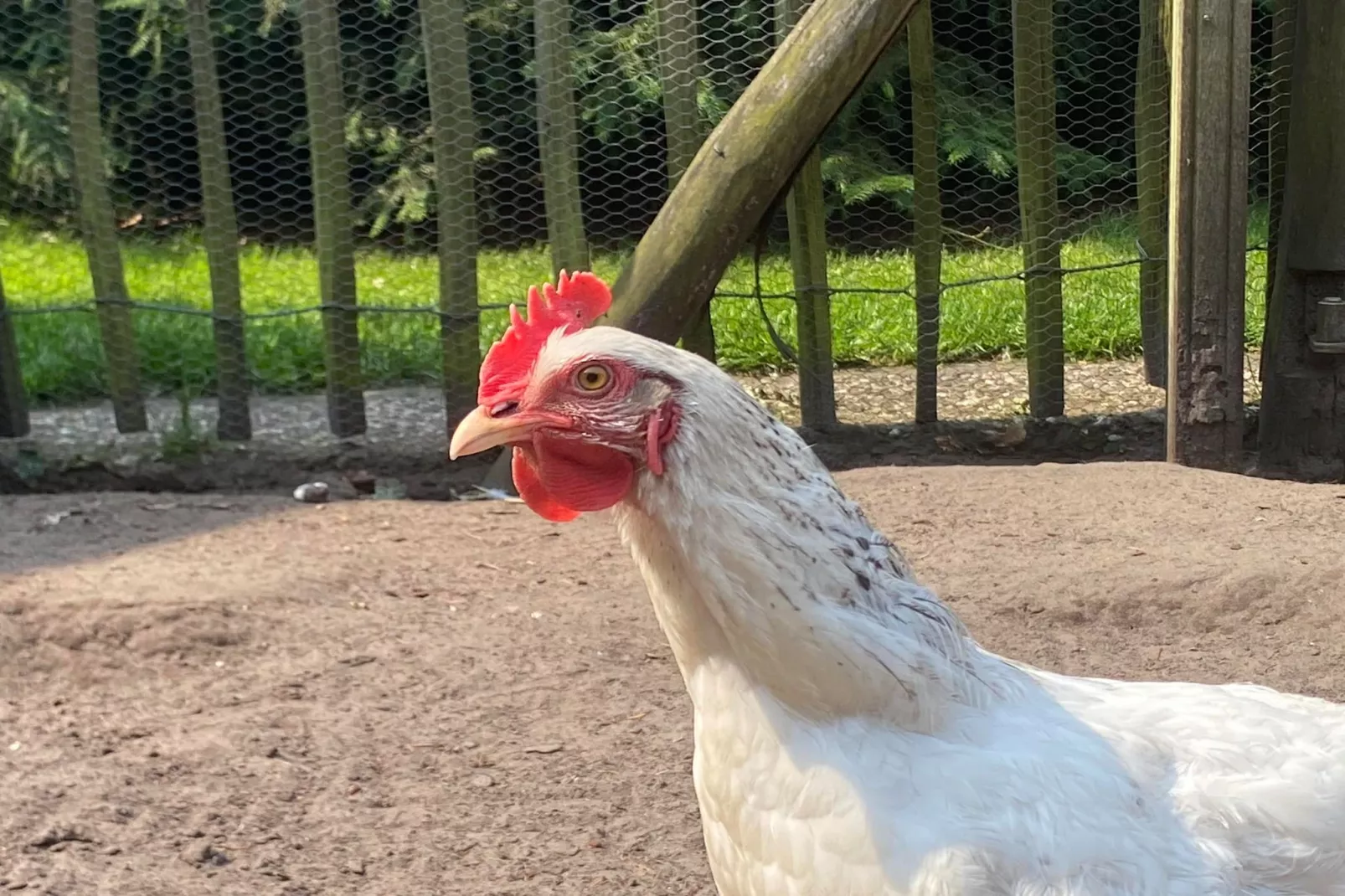 De Groninger Zeeuw - Ambiente