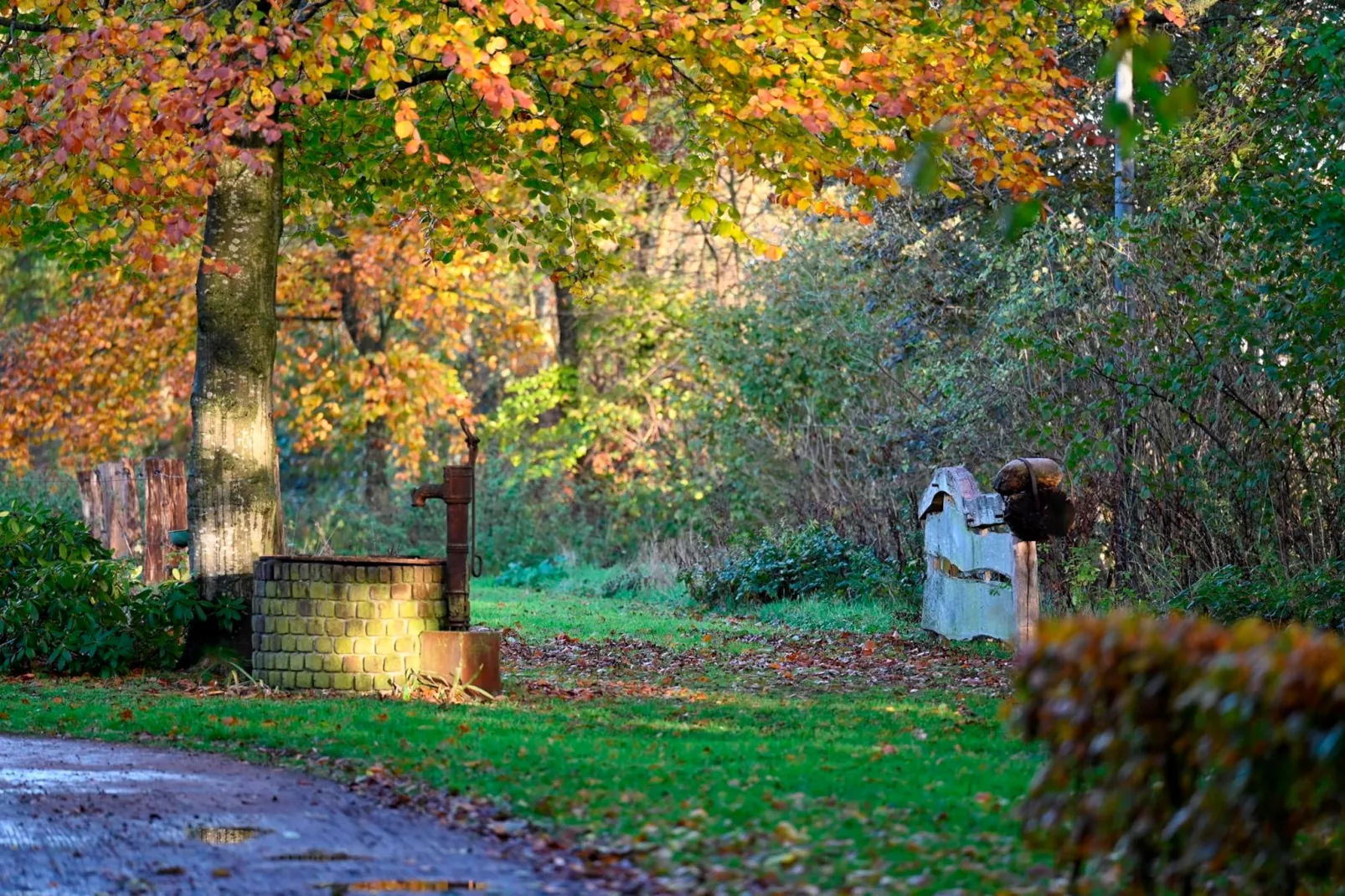 De Binnenhof - Areas within 1km in summer