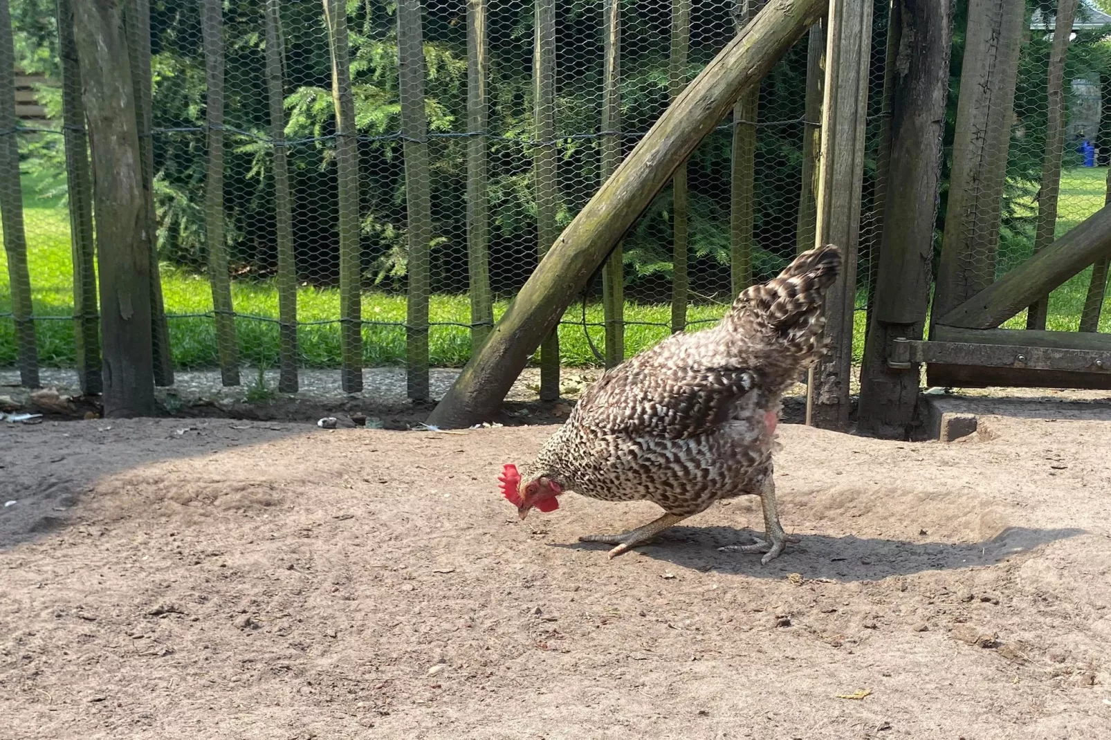 De Groninger Zeeuw - Ambiente
