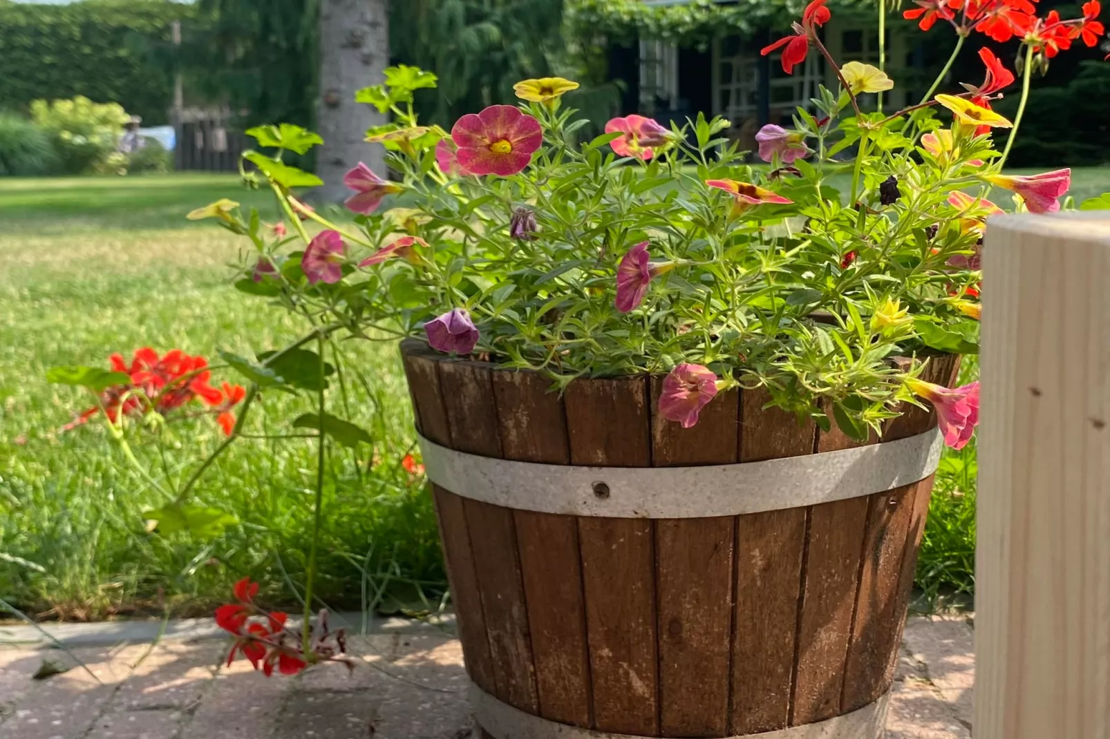 De Groninger Zeeuw - Ambiente