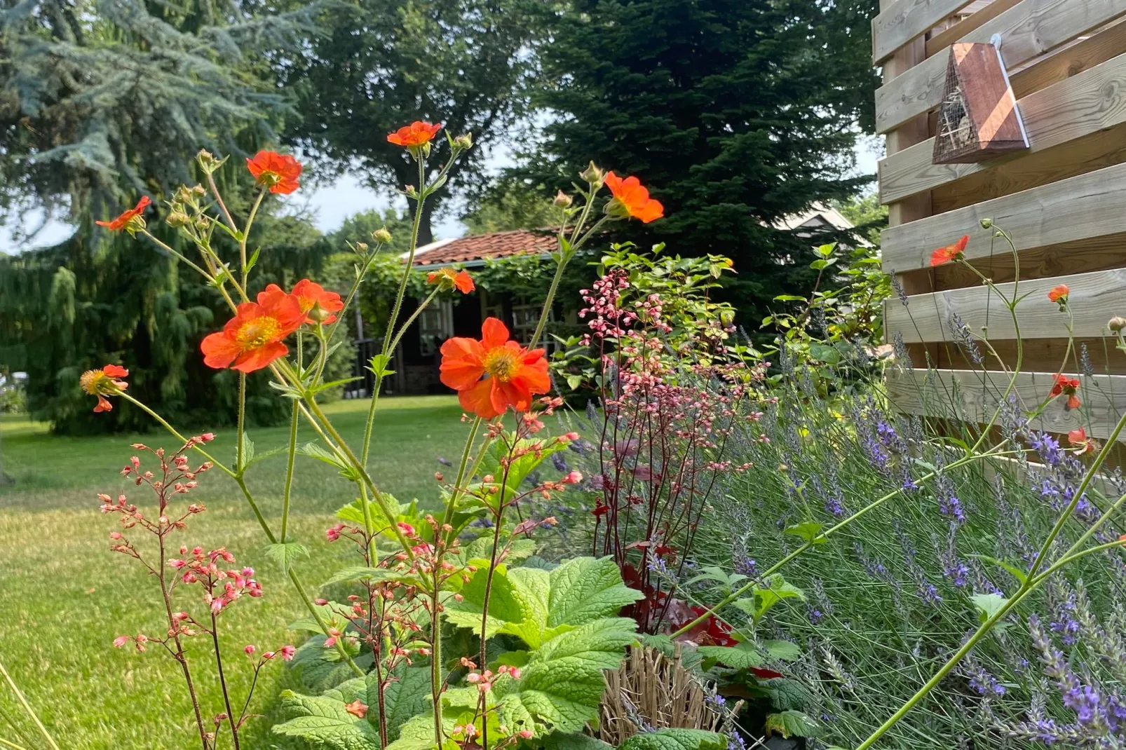 De Groninger Zeeuw - Ambiente
