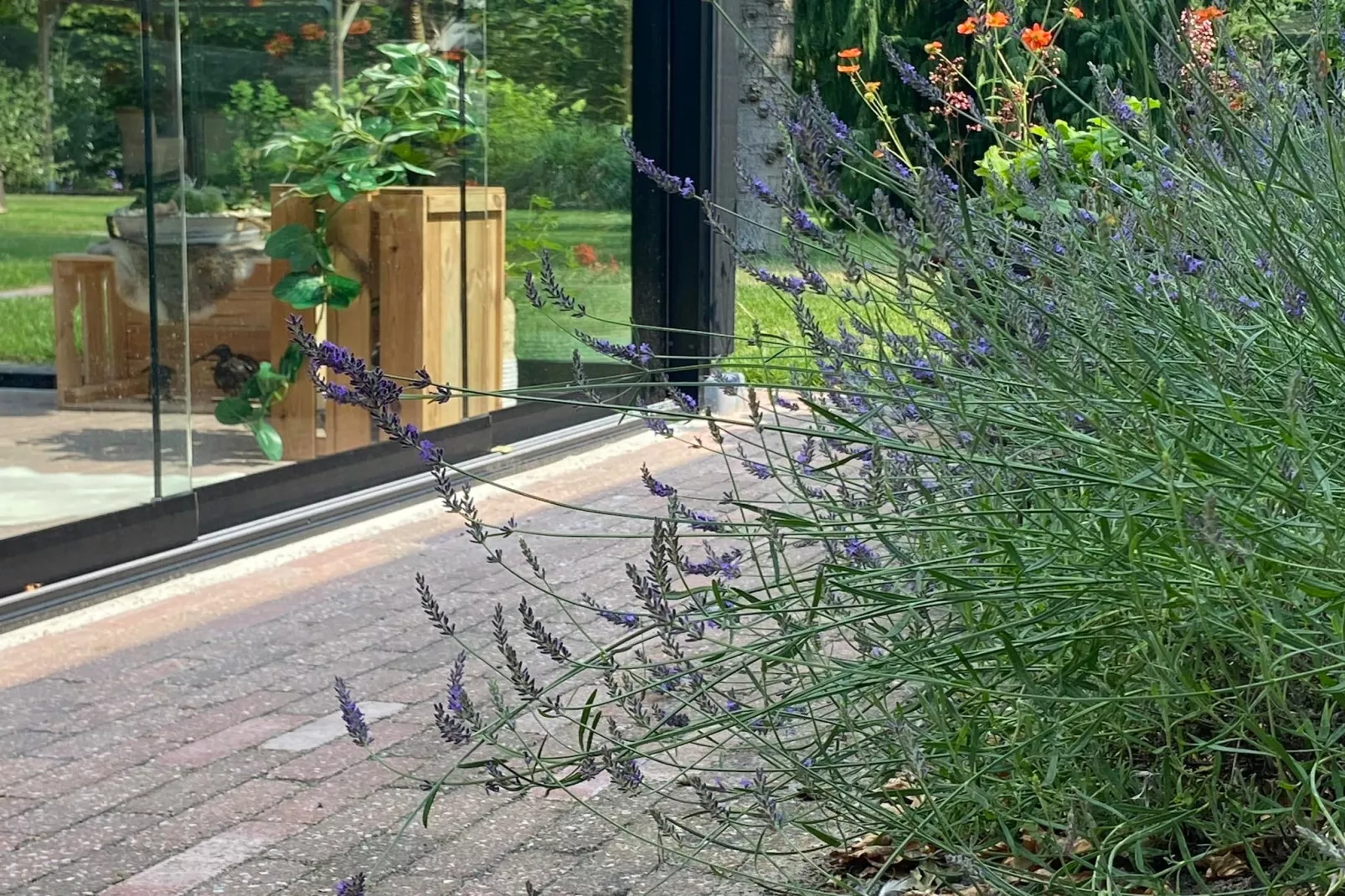 De Groninger Zeeuw - Ambiente