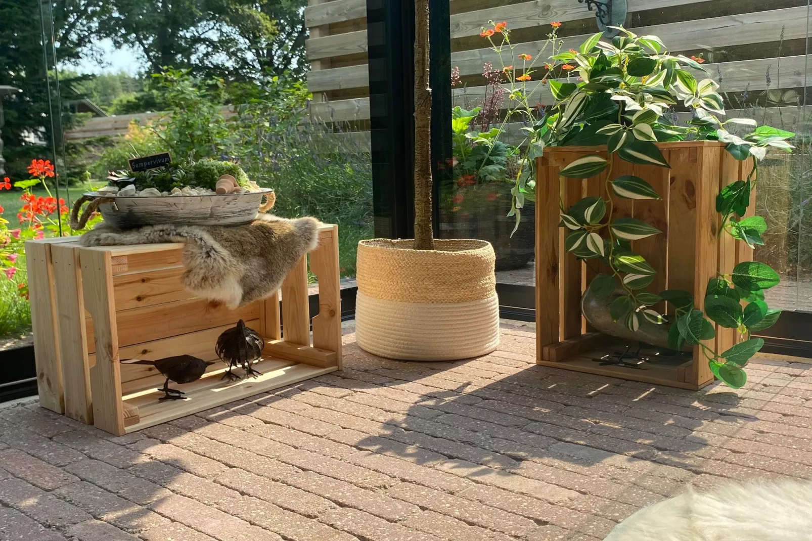 De Groninger Zeeuw - Ambiente