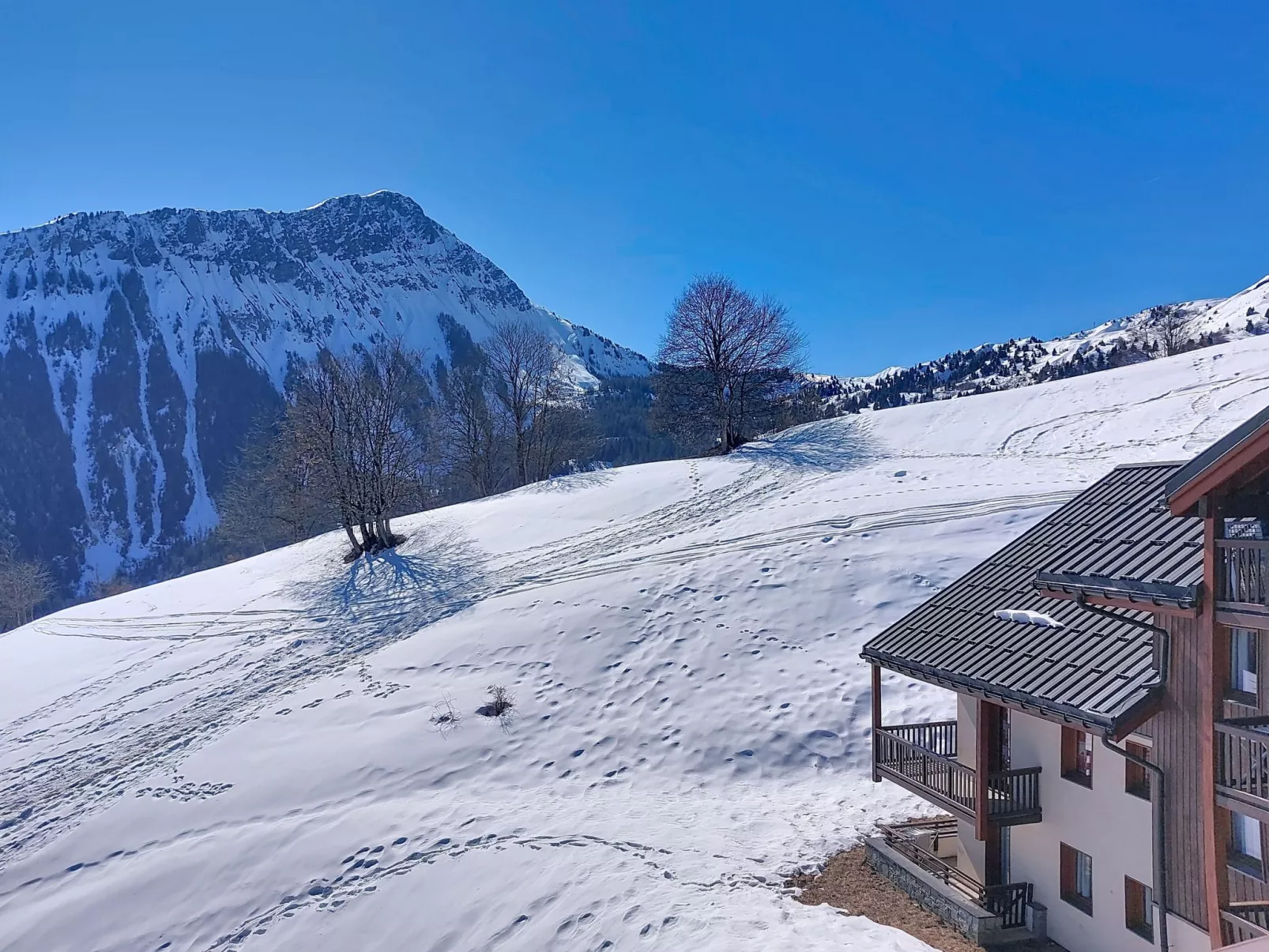 Les Alpages du Corbier - Draußen