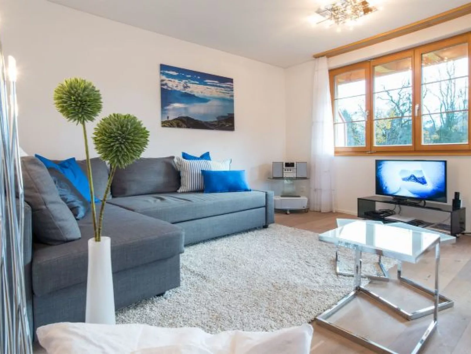 Panoramapark Soleil Alpenaster