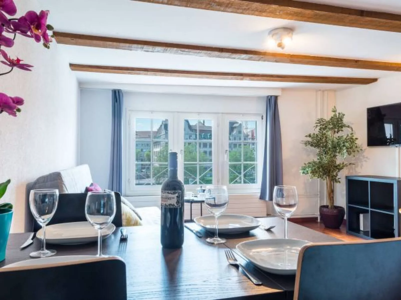 ZH Limmat 4 - HITrental Apartment