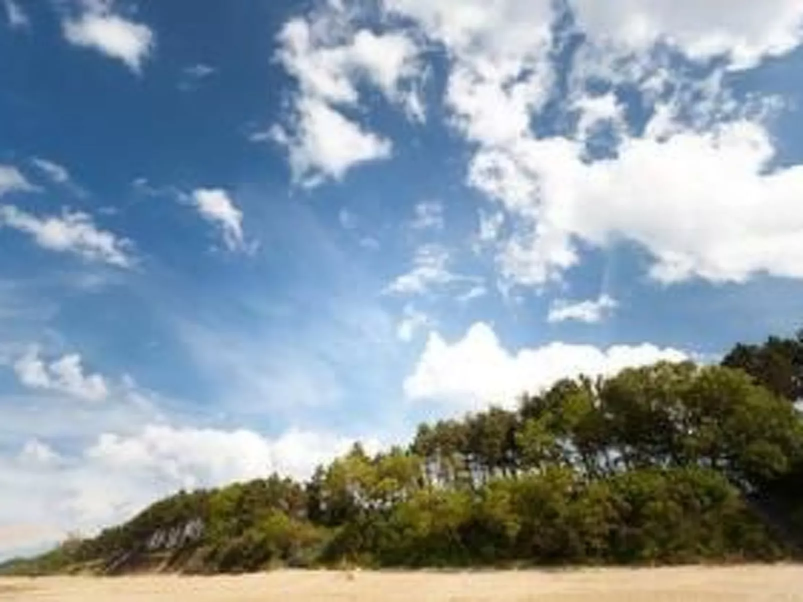 "Ferienwohnung" mitten im Grünen - Draußen