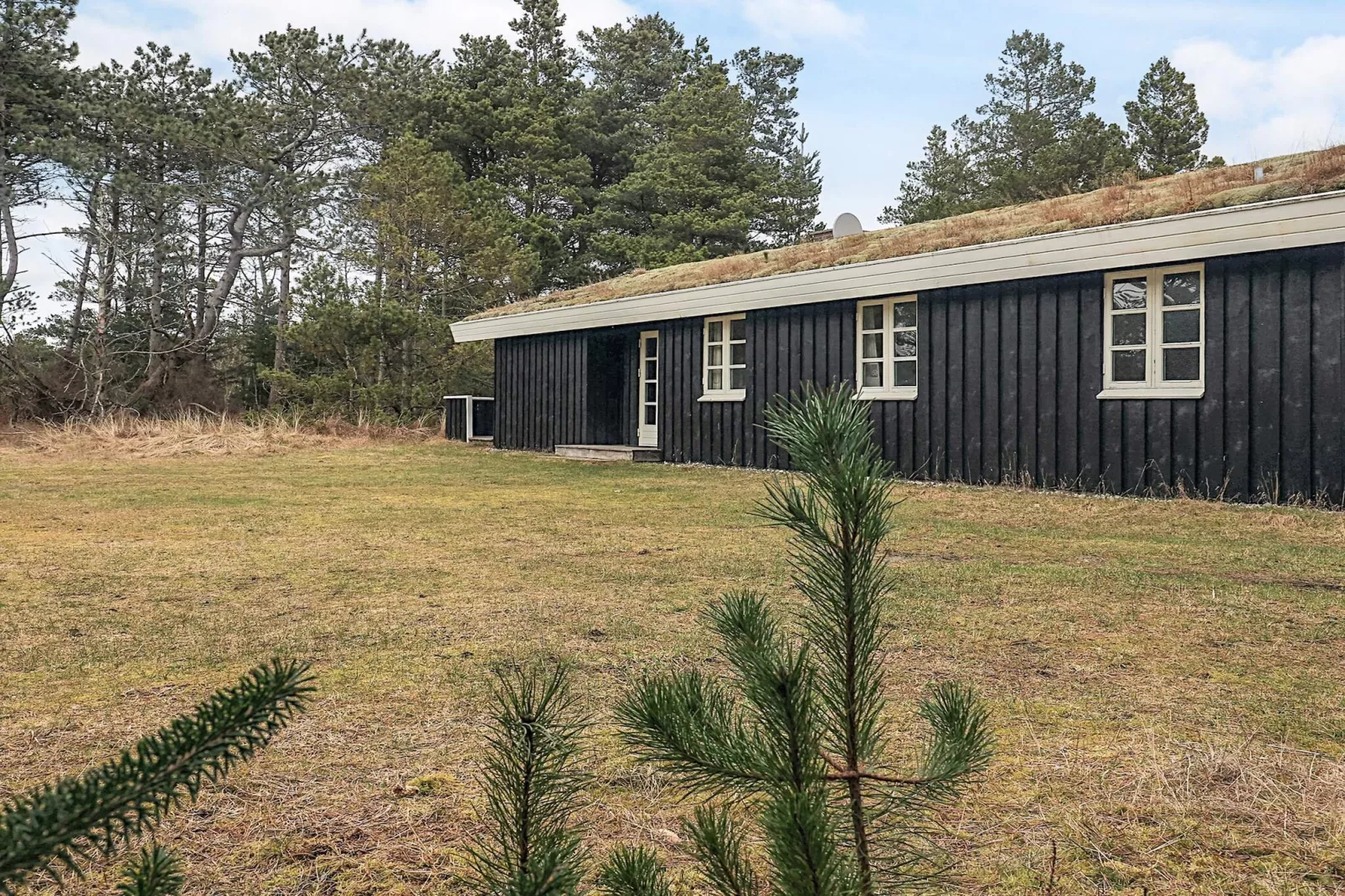 6 Personen Ferienhaus in Ålbæk-By Traum