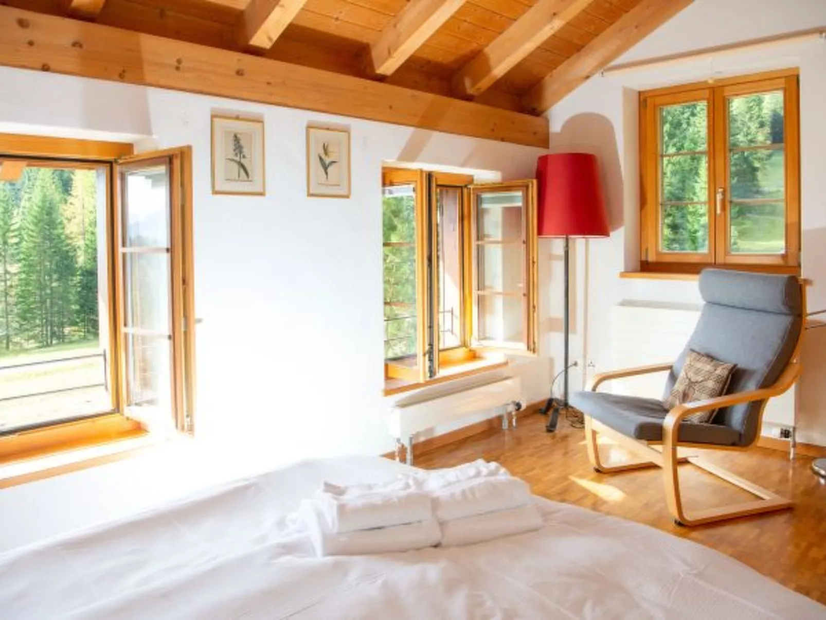 Ski in & Ski out Alphütte-Maiensäss Acla Pala Lenzerheide - Dedans