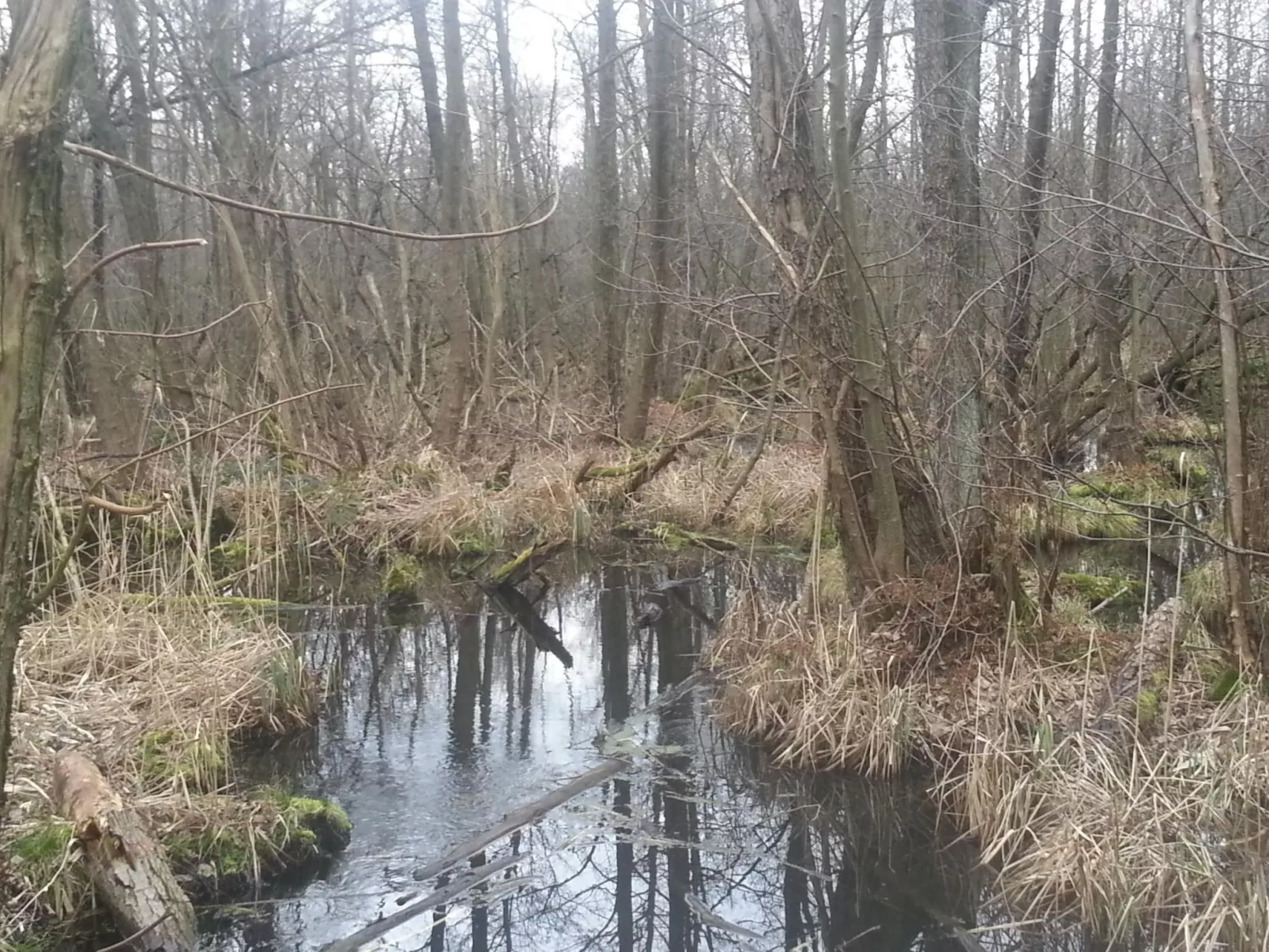 Feienhaus Gregor - Draußen