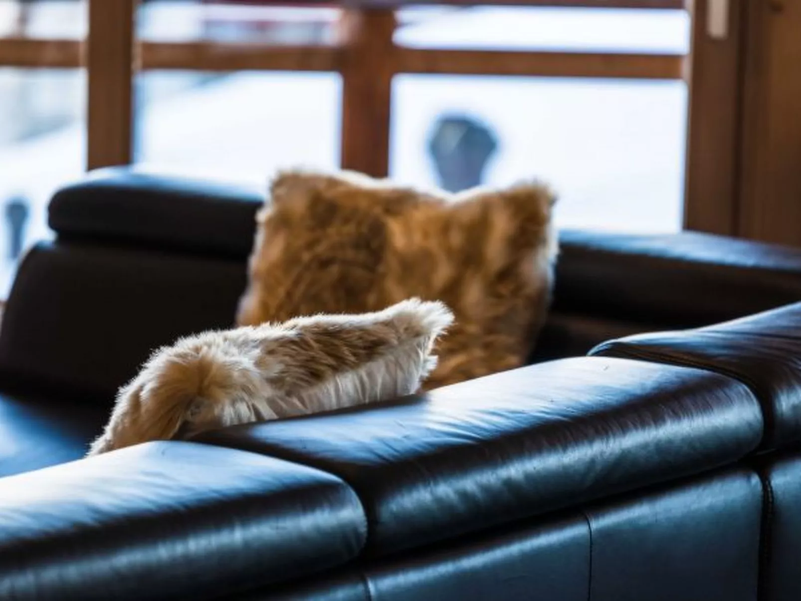 Cordée 3 - Spa access - Dedans