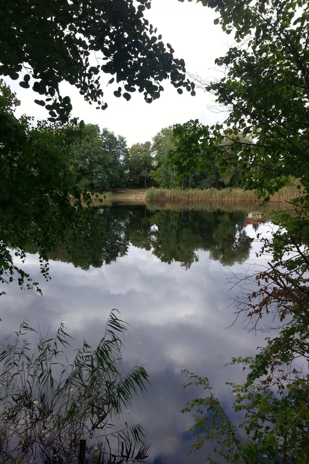 Feienhaus Gregor - Draußen
