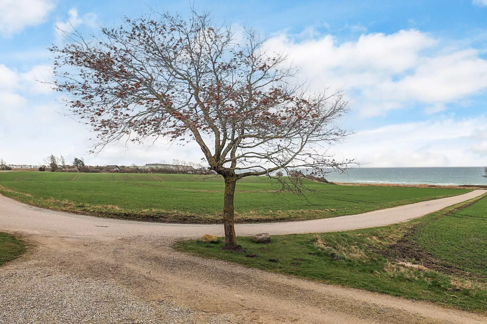 Maison de vacances pour 4 a Assens - Vue sur l'eau