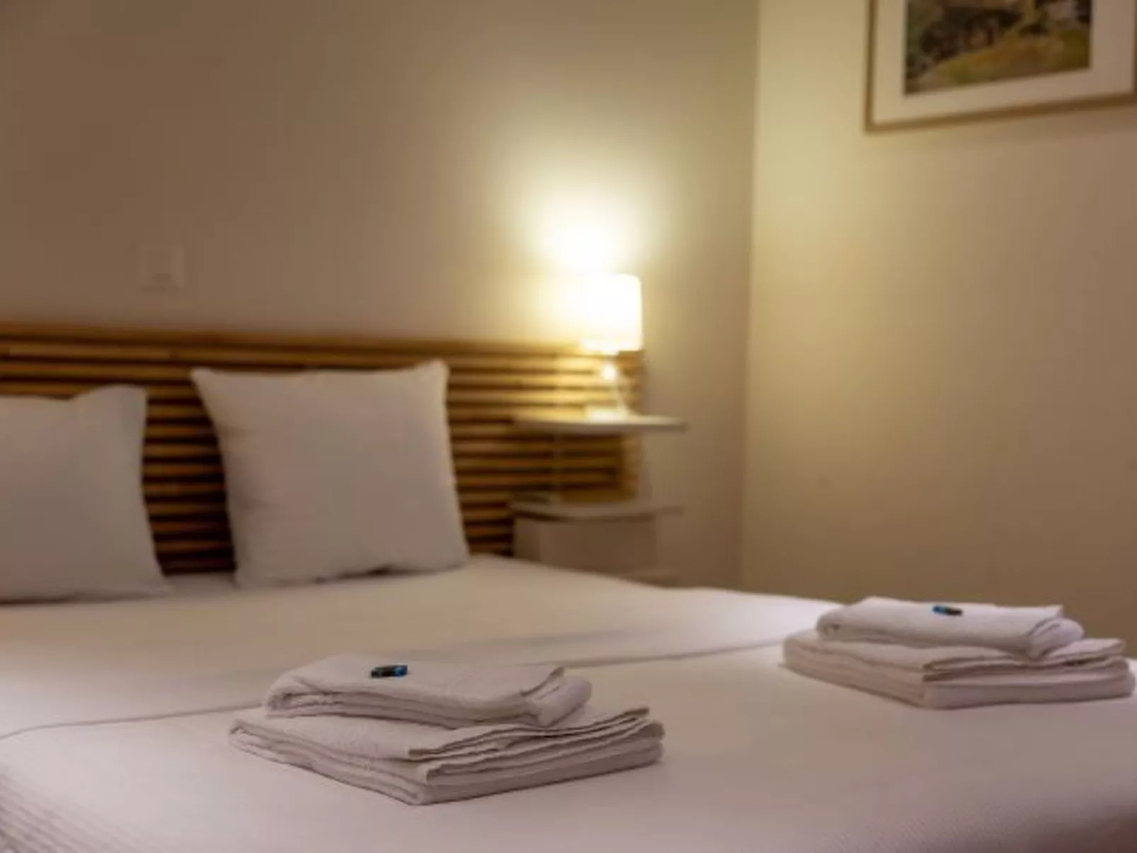 Montagnard 3 - Spa access - Dedans