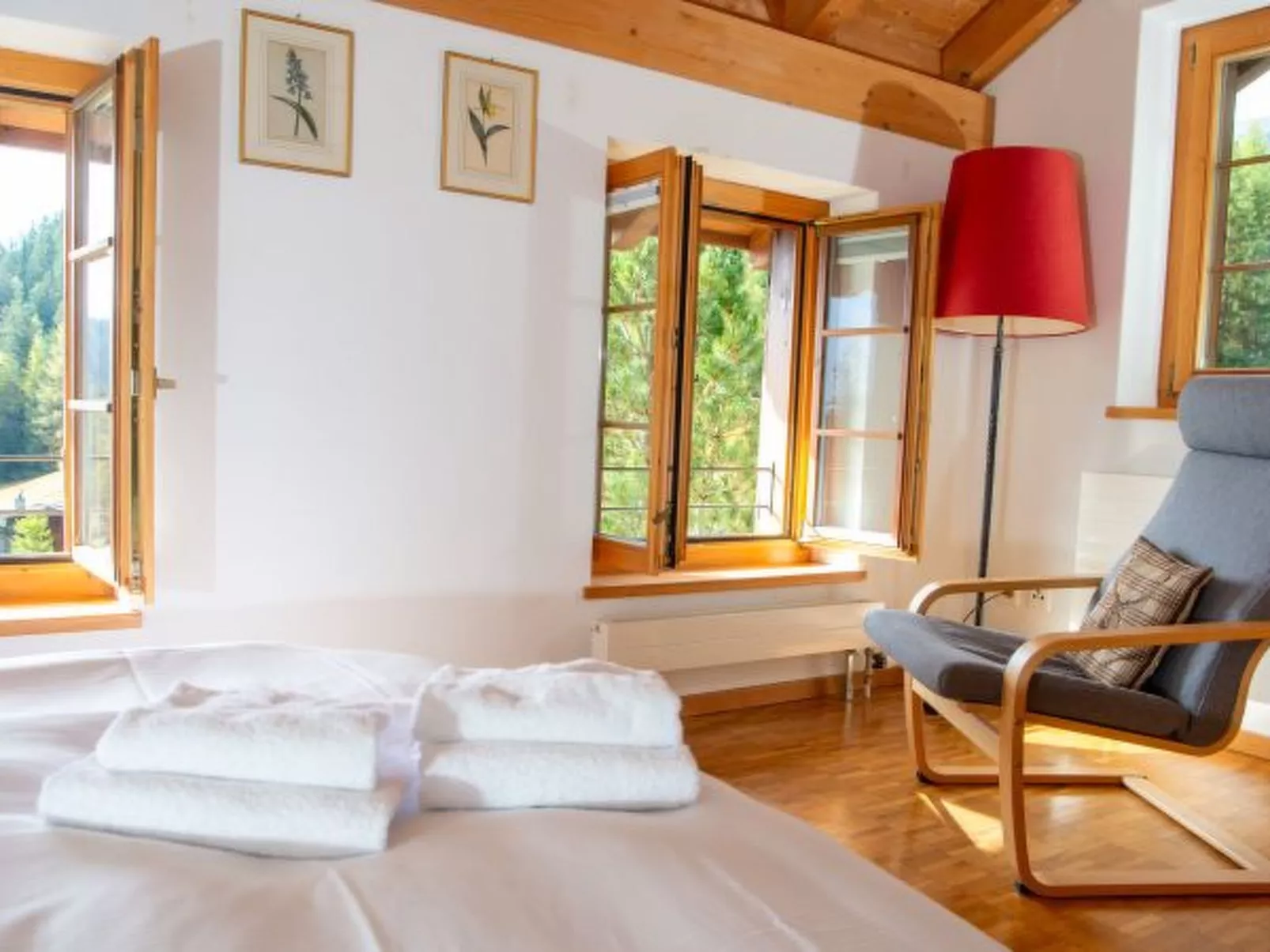 Ski in & Ski out Alphütte-Maiensäss Acla Pala Lenzerheide - Dedans