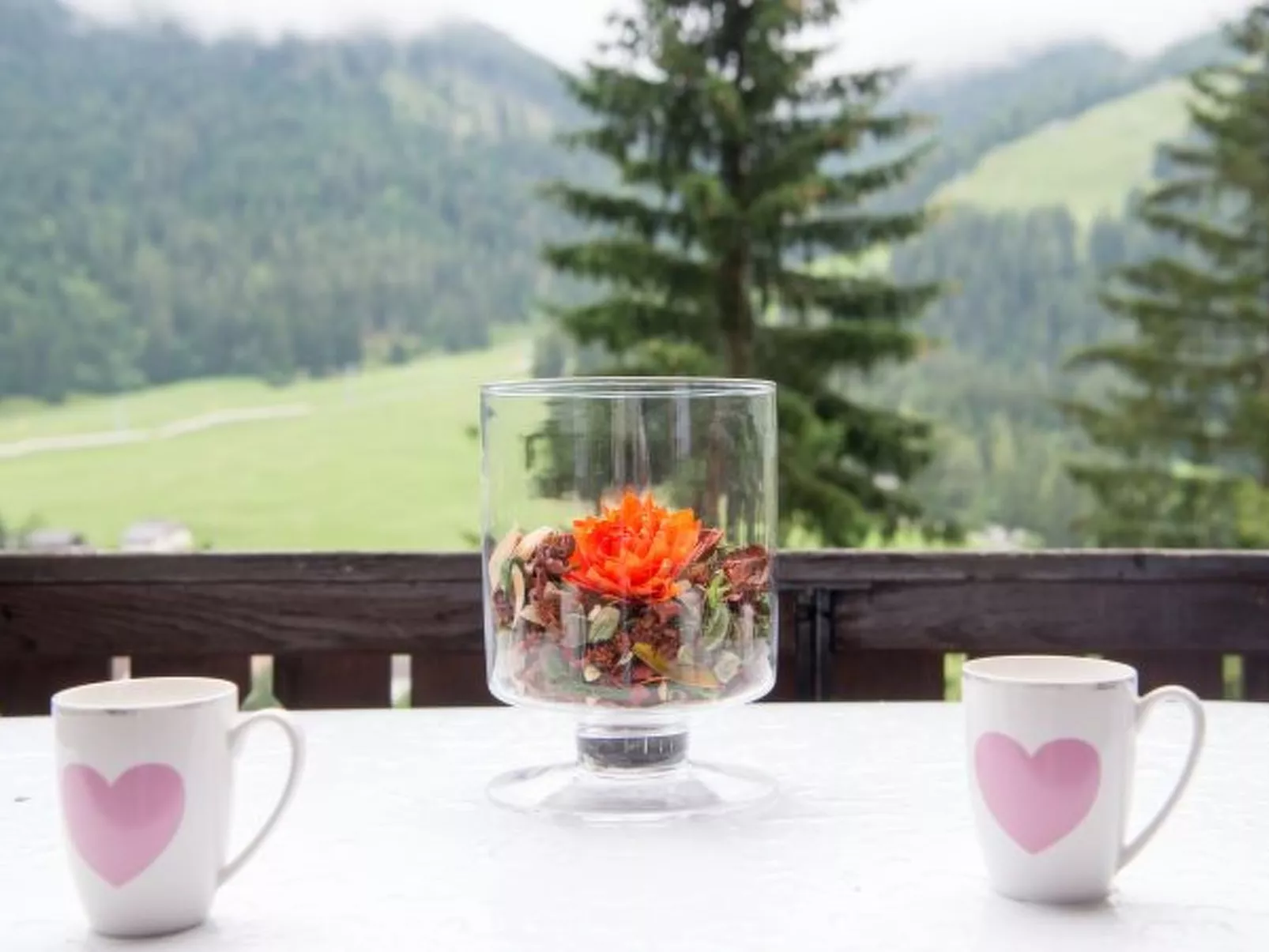 Haus Joch Churwalden - Draußen