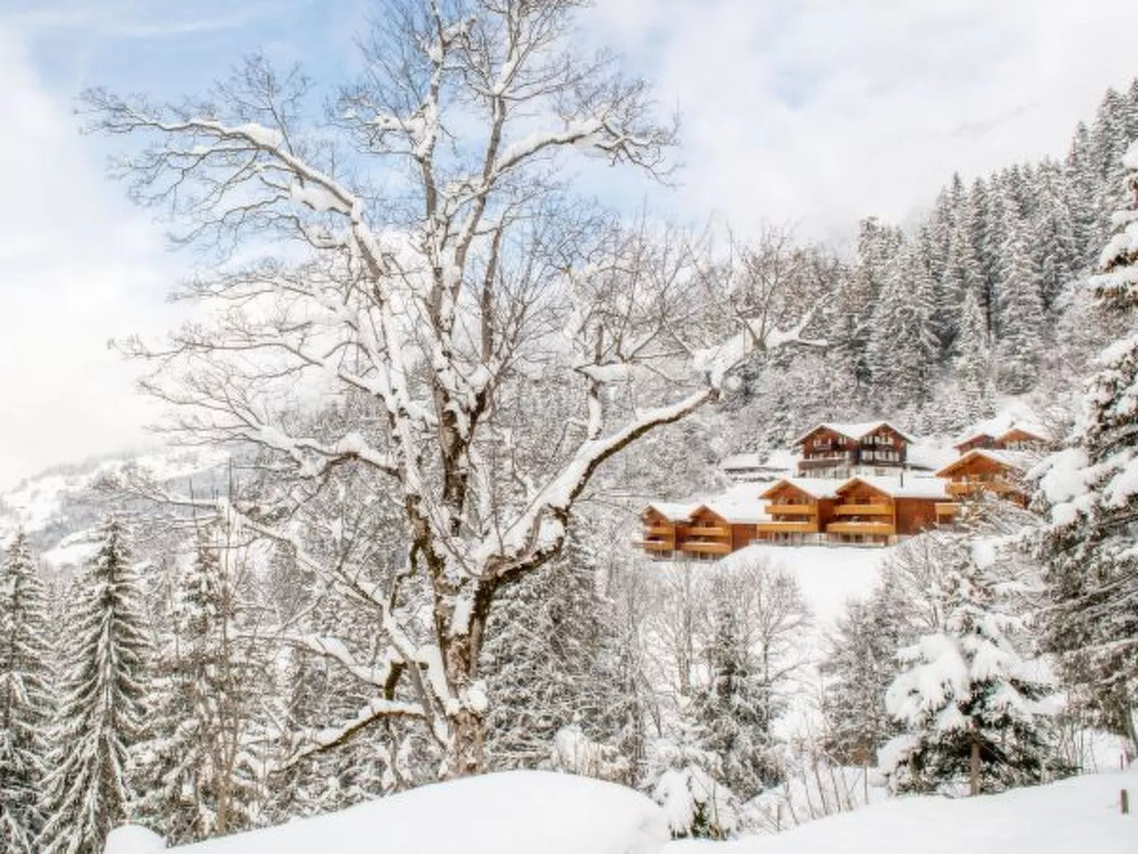 Racers Retreat 10 - Dehors