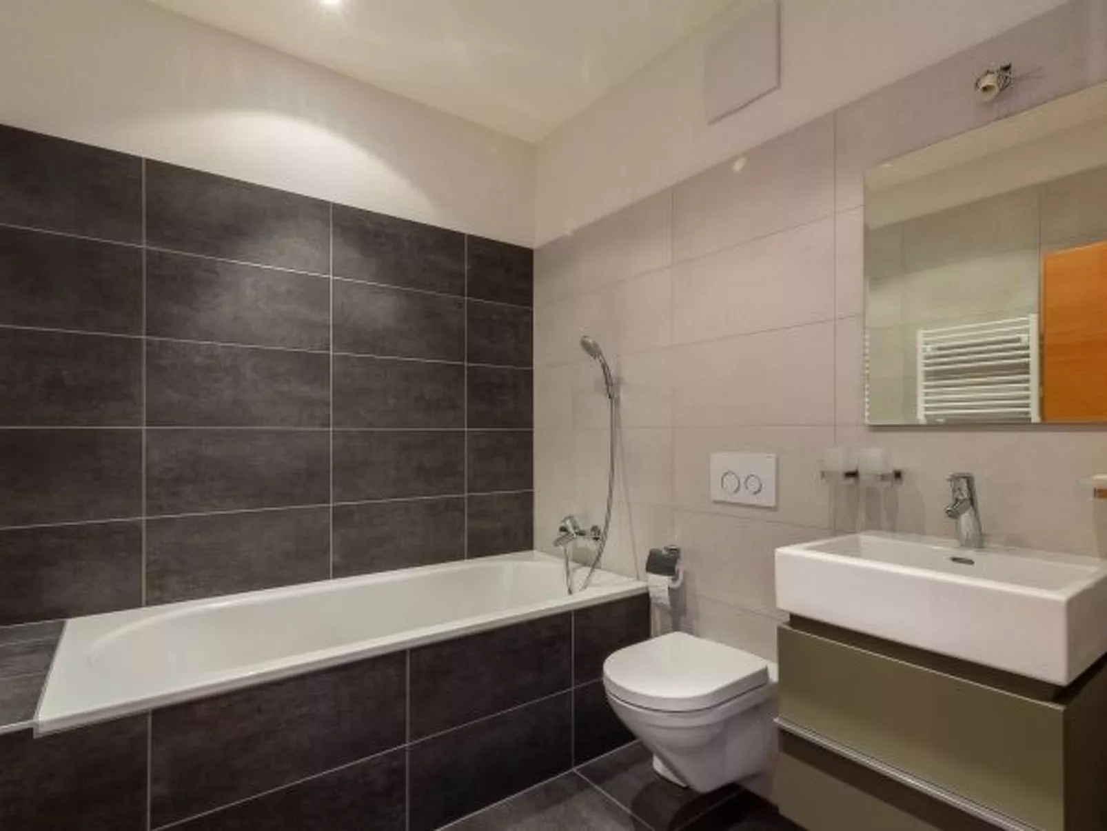 Au pied des pistes à Siviez Rosablanche D 204B - Inside